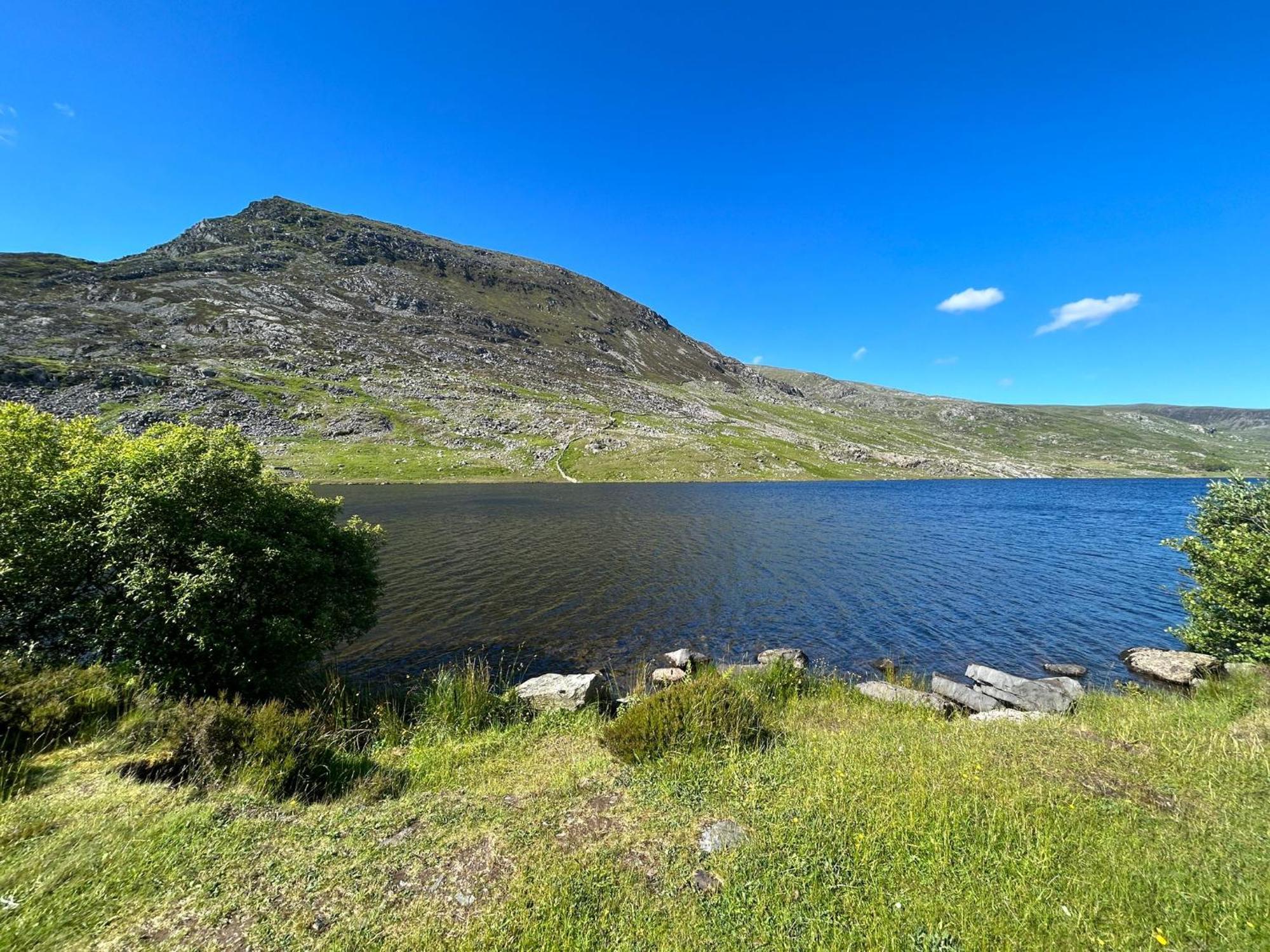 The Cottage - Snowdonia, North Wales Bethesda Exteriör bild